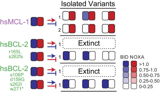 Figure 9.