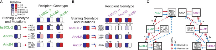 Figure 6.