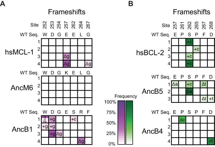 Figure 4—figure supplement 2.