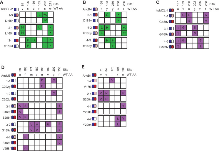 Figure 7—figure supplement 2.