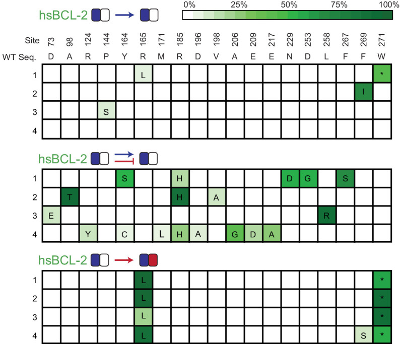 Figure 8—figure supplement 2.