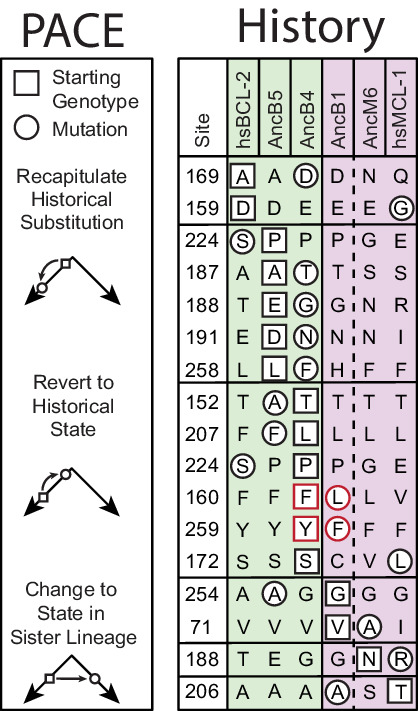 Figure 4—figure supplement 5.