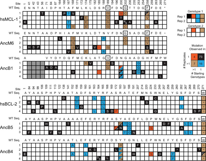 Figure 4—figure supplement 3.