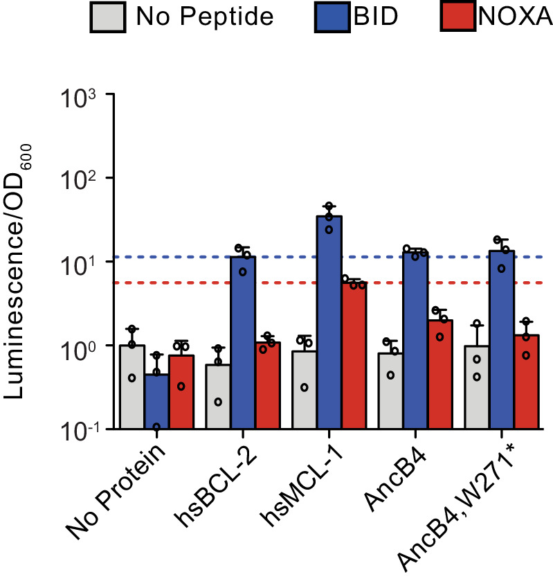 Figure 4—figure supplement 4.