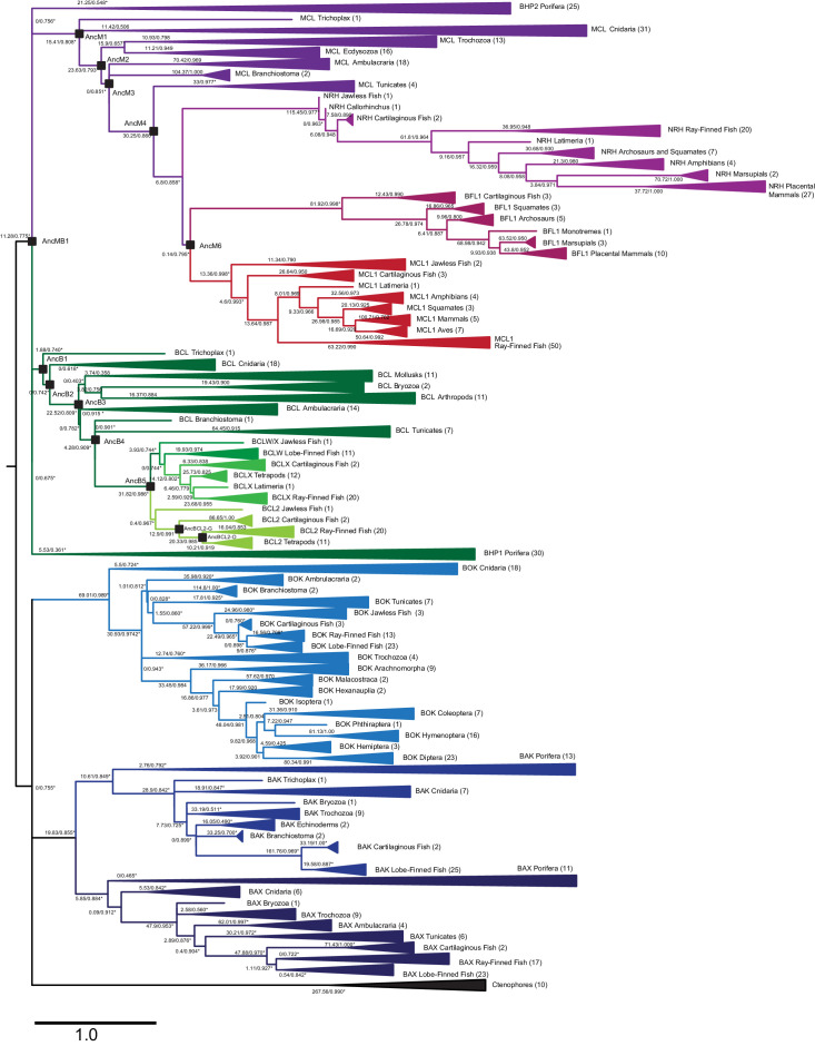 Figure 2—figure supplement 3.