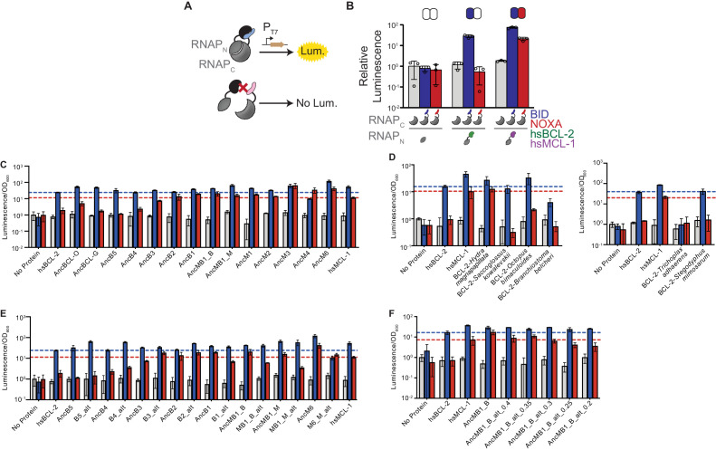 Figure 2—figure supplement 4.