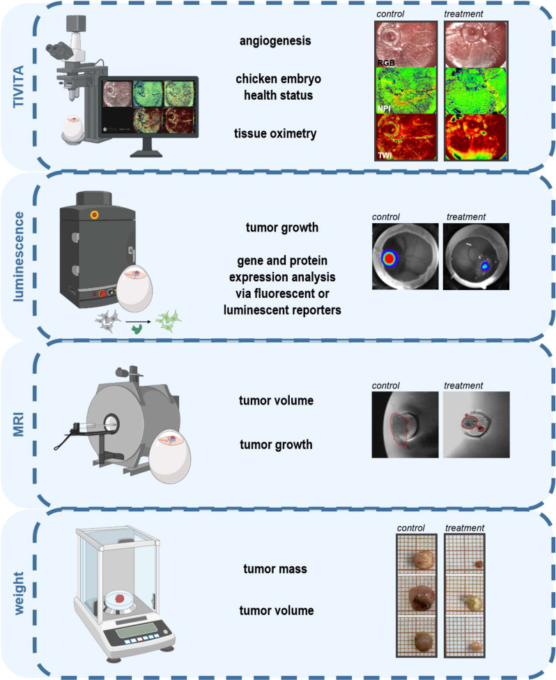 Figure 2