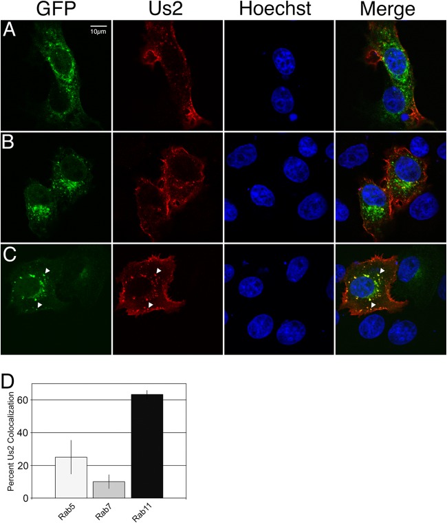 Fig 8