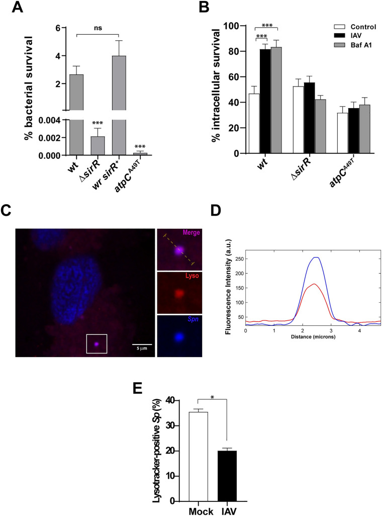 Fig 2