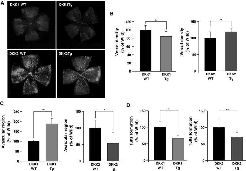 Fig. 7