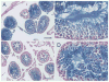 Fig. 4
