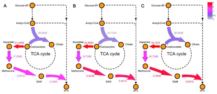 Figure 7