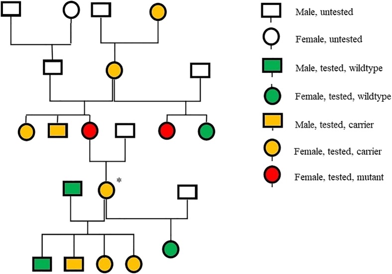 Fig. 3