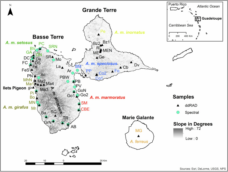 Fig. 2