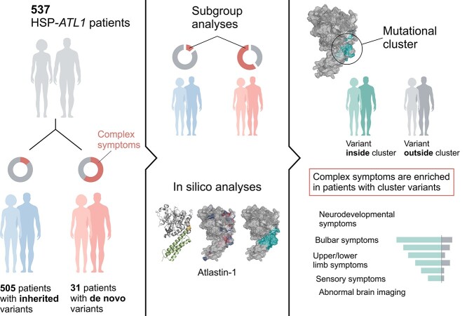 Graphical Abstract