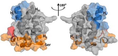 Fig. 6.