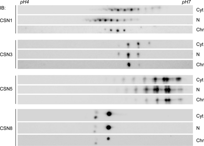 FIG 3