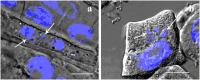 Figure 16