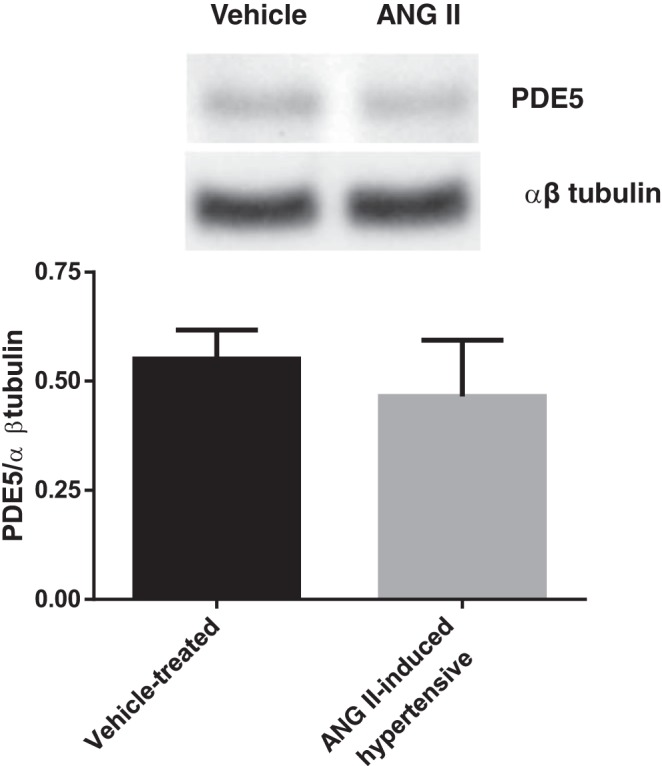 Fig. 8.