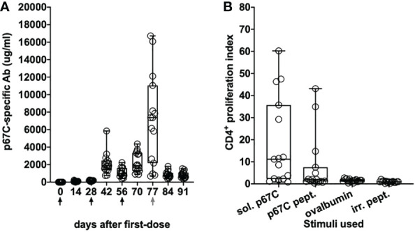 Figure 7