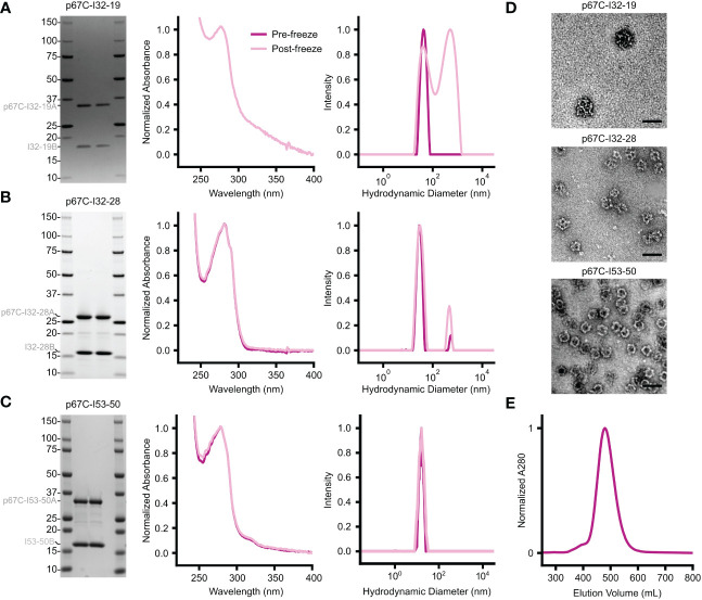 Figure 6