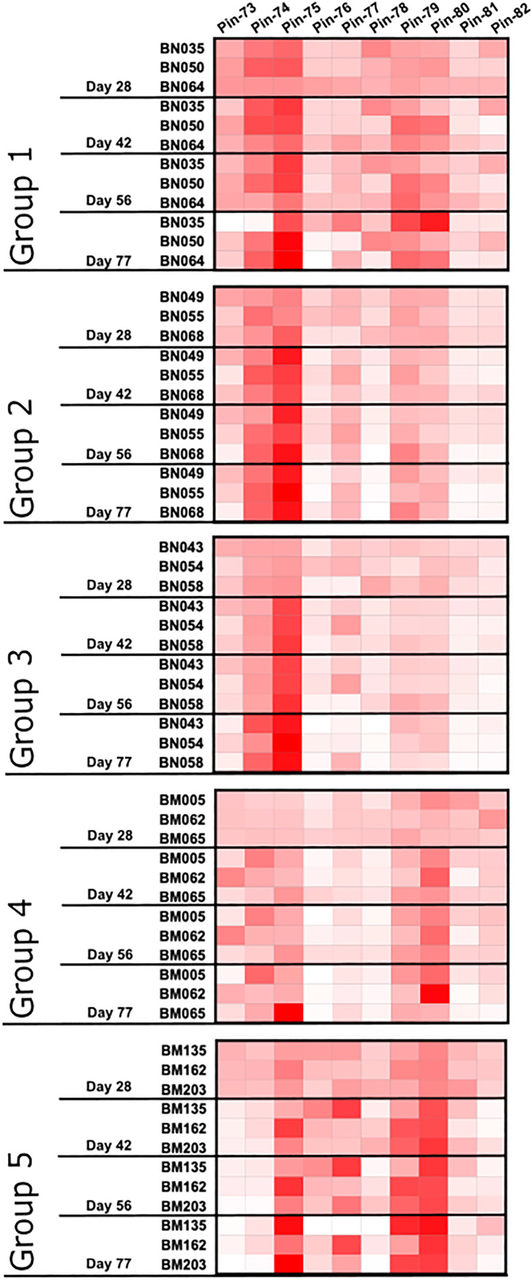 Figure 5