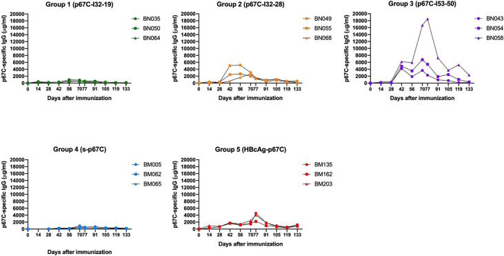 Figure 2