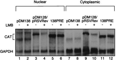 FIG. 6