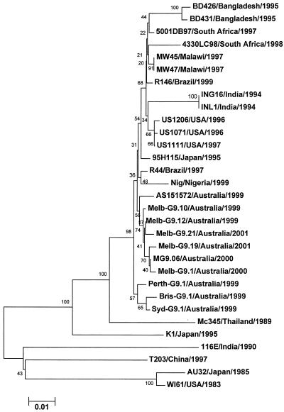 FIG. 2.