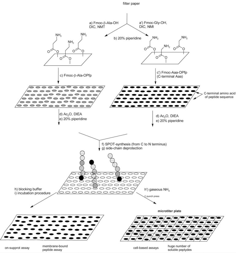 Fig. (8)