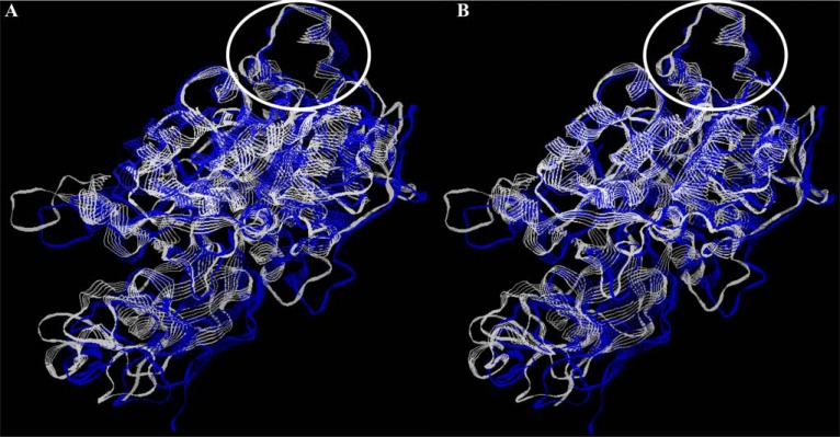 Fig. (5)