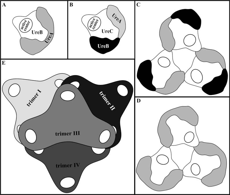 Fig. (3)