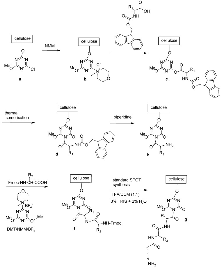 Fig. (9)