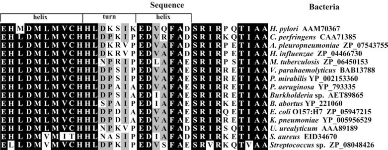 Fig. (4)