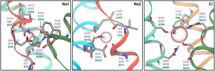 FIGURE 6