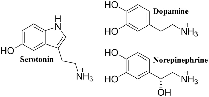 FIGURE 1