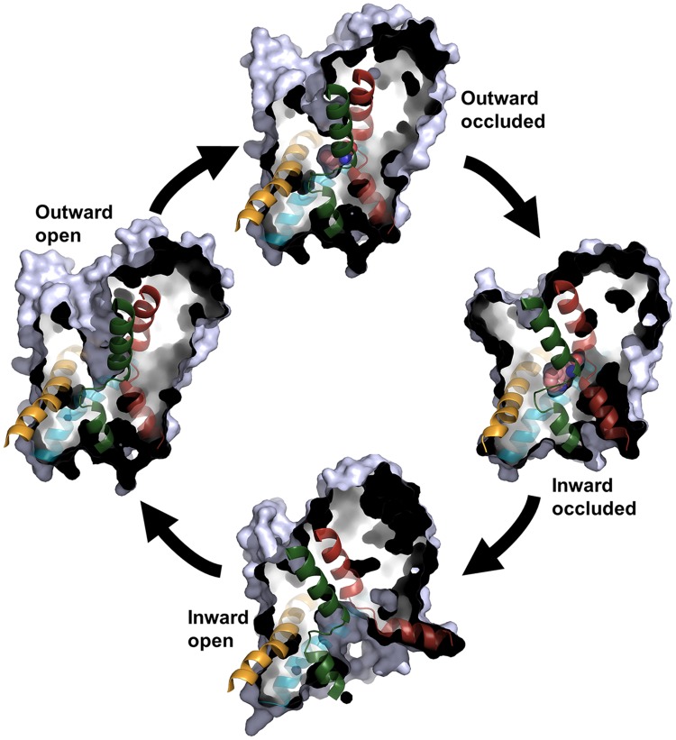 FIGURE 3