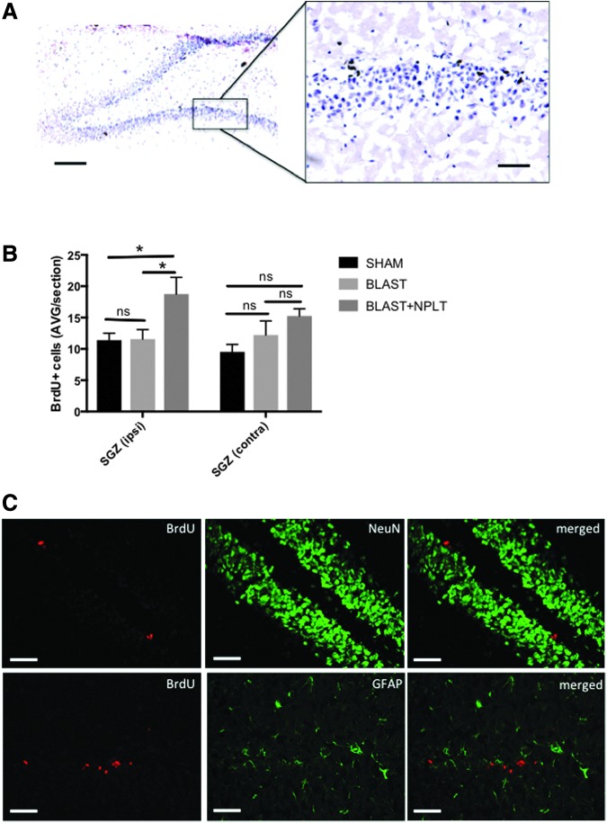 FIG. 7.