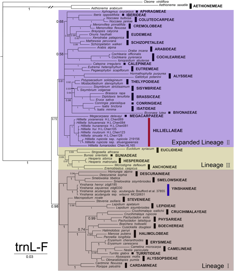 Fig. 4