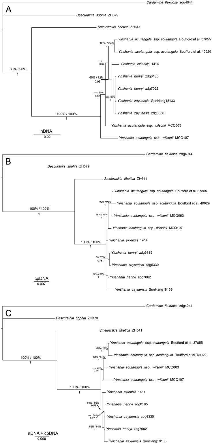 Fig. 5