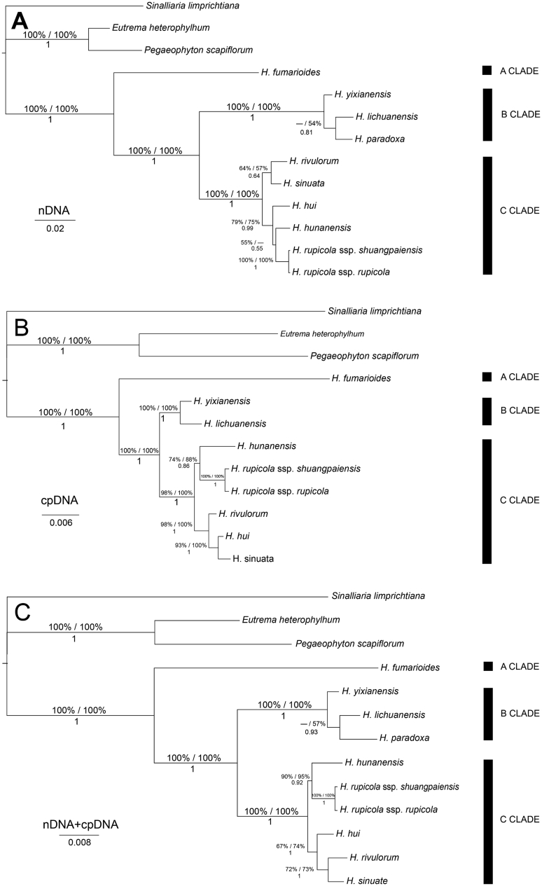 Fig. 6