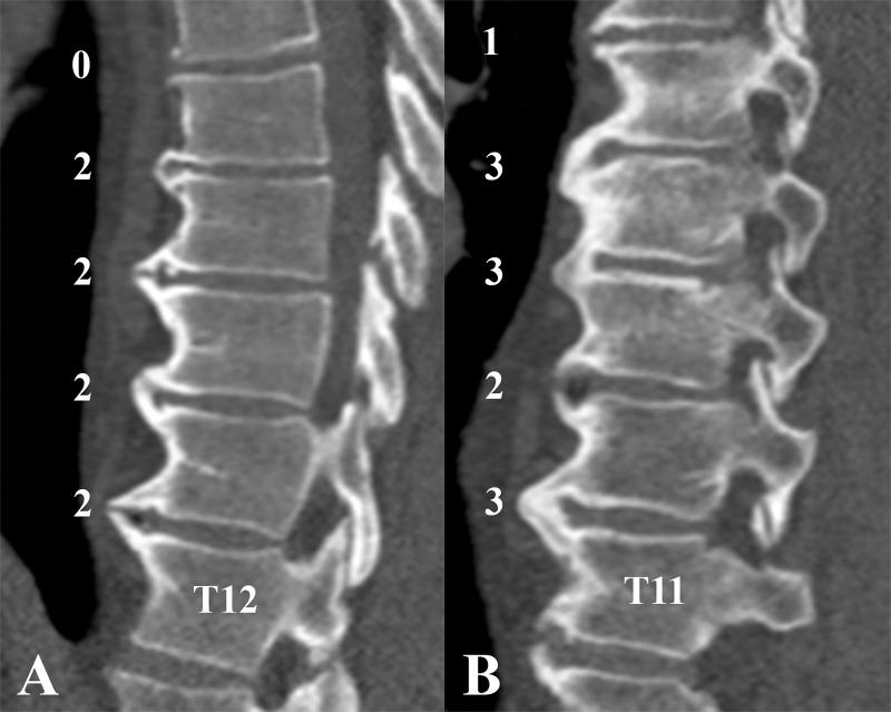 Figure 4: