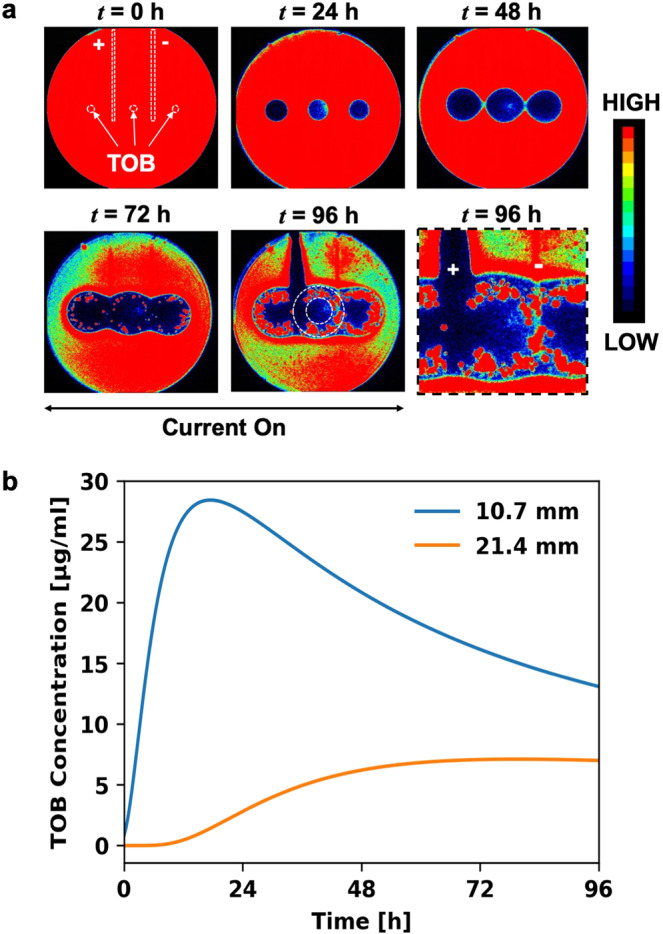 Figure 6