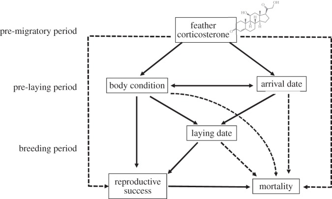 Figure 1.