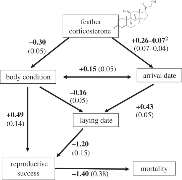 Figure 2.