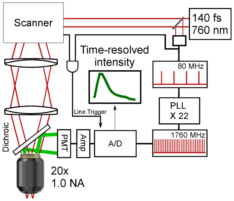 Fig. 1