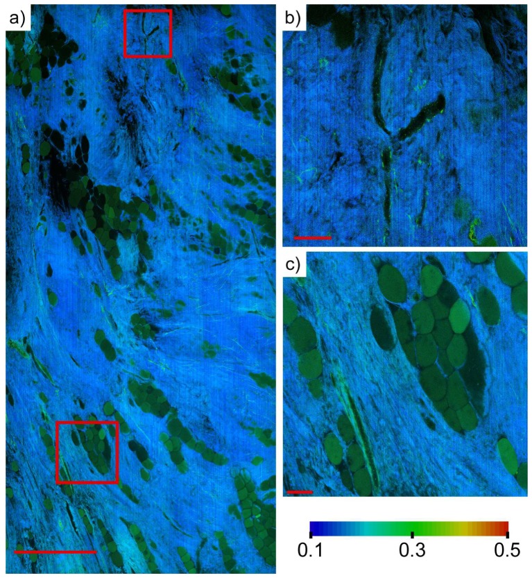 Fig. 3