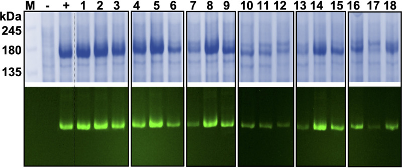 FIG 2