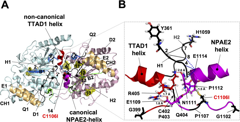 FIG 6