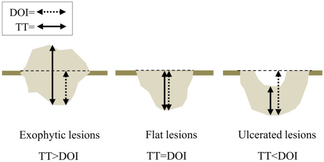 Fig. 8